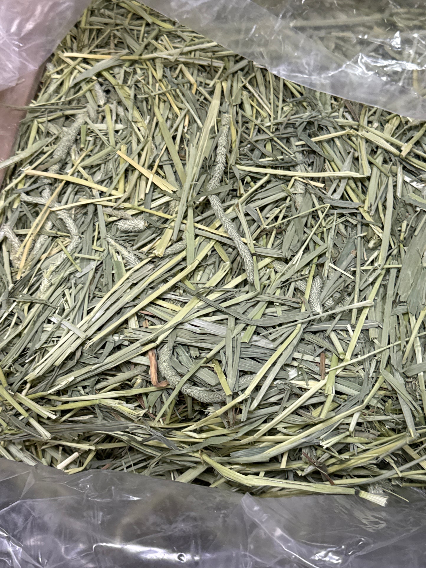1 kg USA Western Timothy crunchy hay kept in aircon shop since shipment arrived from USA Expiry Feb 2027 limited stock
