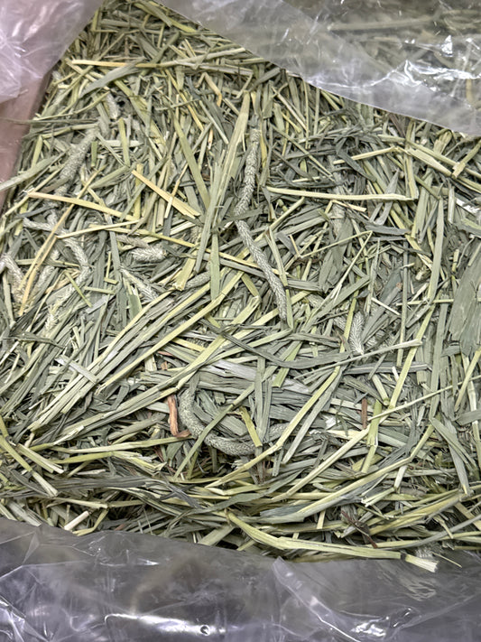 1 kg USA Western Timothy crunchy hay kept in aircon shop since shipment arrived from USA Expiry Feb 2027 limited stock