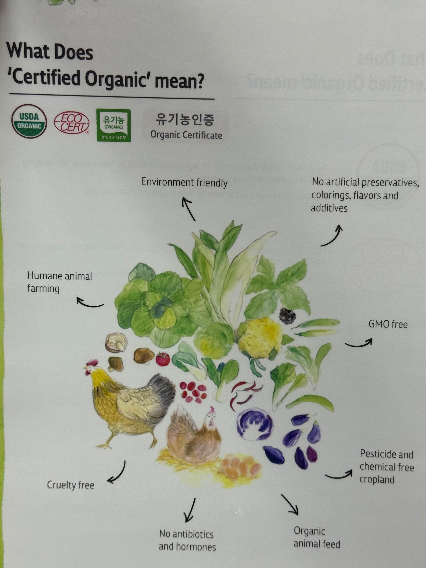 Natural Core organic dog food kept in aircon shop, individually packed, proven feed lowest price