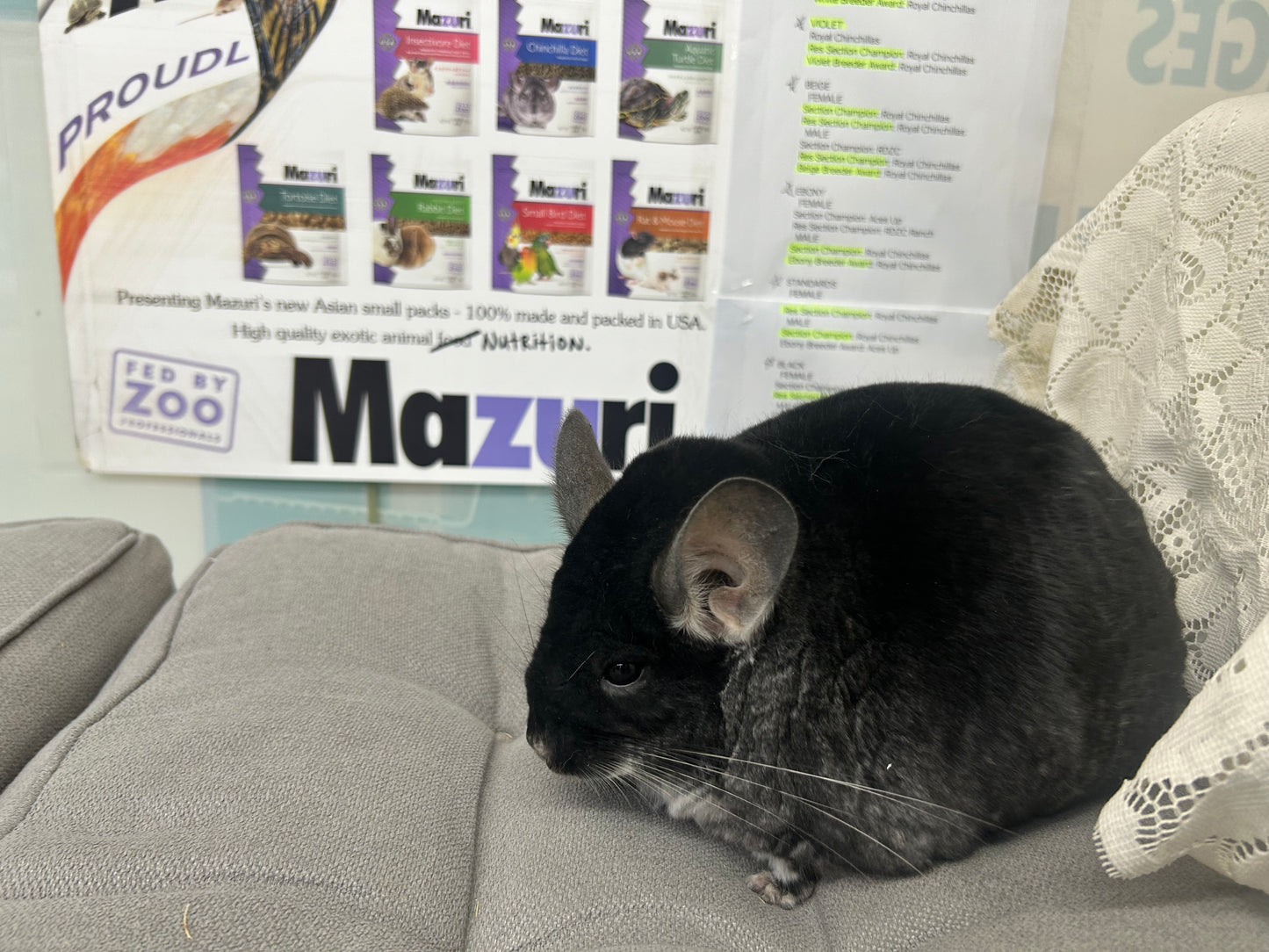 Mazuri 5M01 Chinchilla Pellets Expiry April 2026