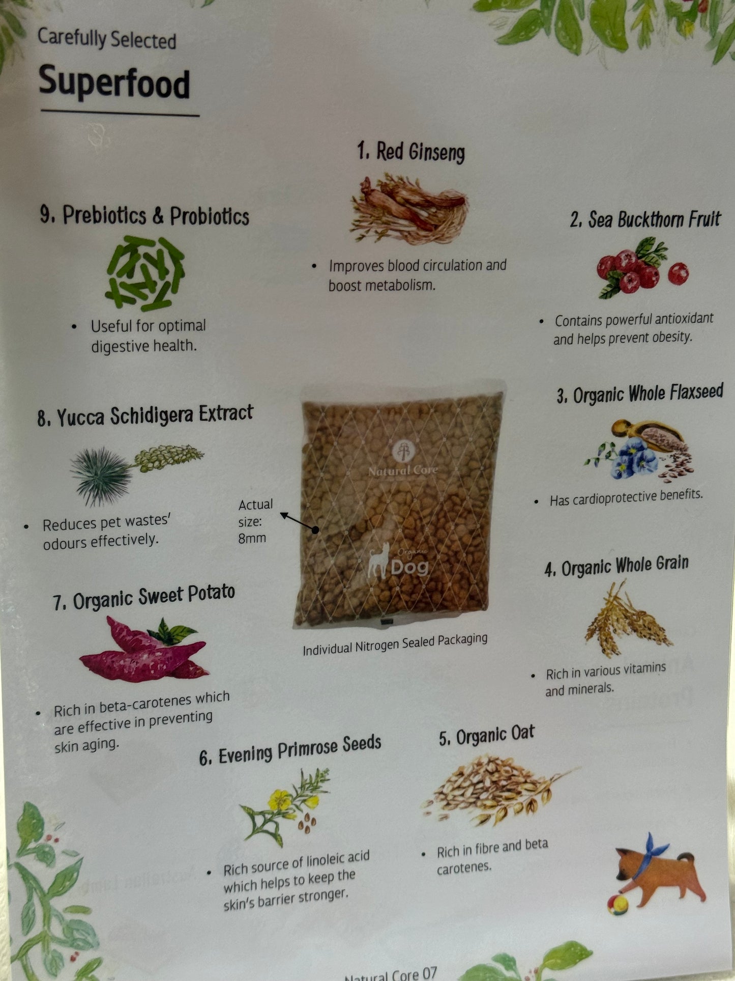 Natural Core organic dog food kept in aircon shop, individually packed, proven feed lowest price