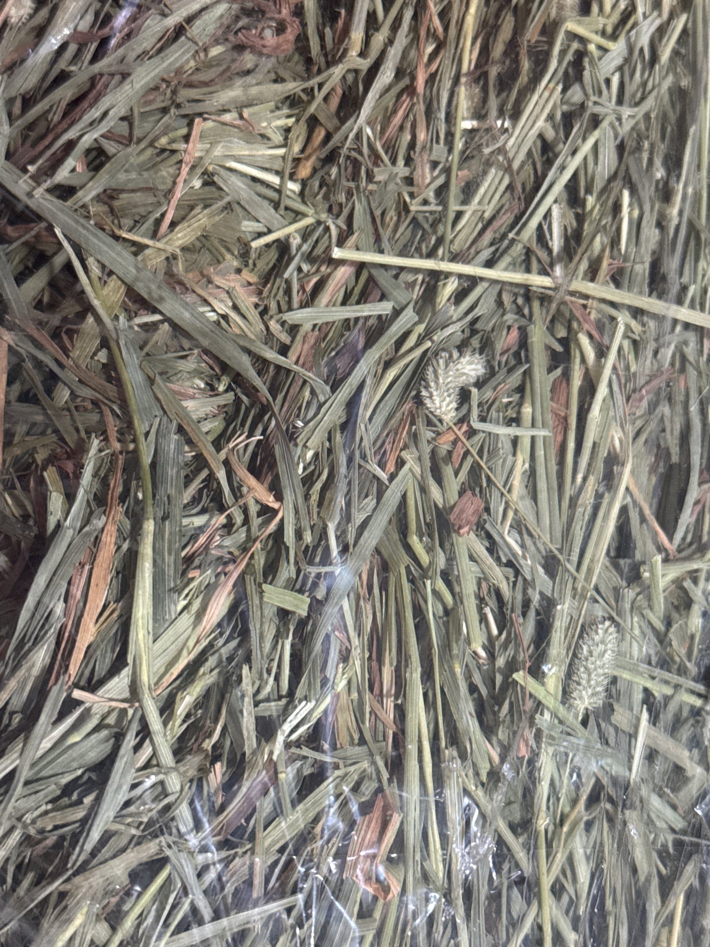 SPS Small Pet Select Second Cut Timothy Hay 5 lbs (2.26 kg) and 10 lbs (4.5kg) Hay