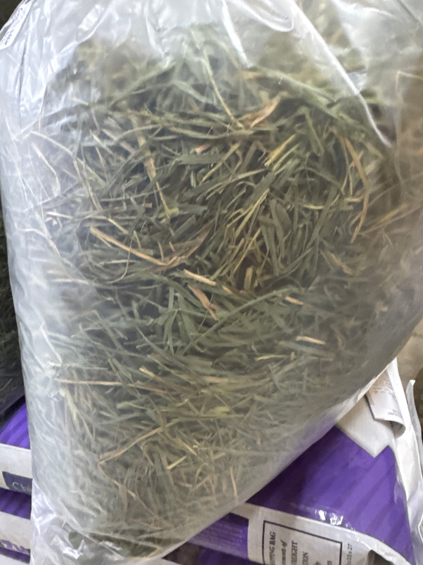 Premium USA Timothy third cut soft hay 1 kg