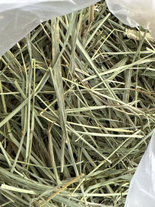 USA second cut Timothy hay 1 kg popular