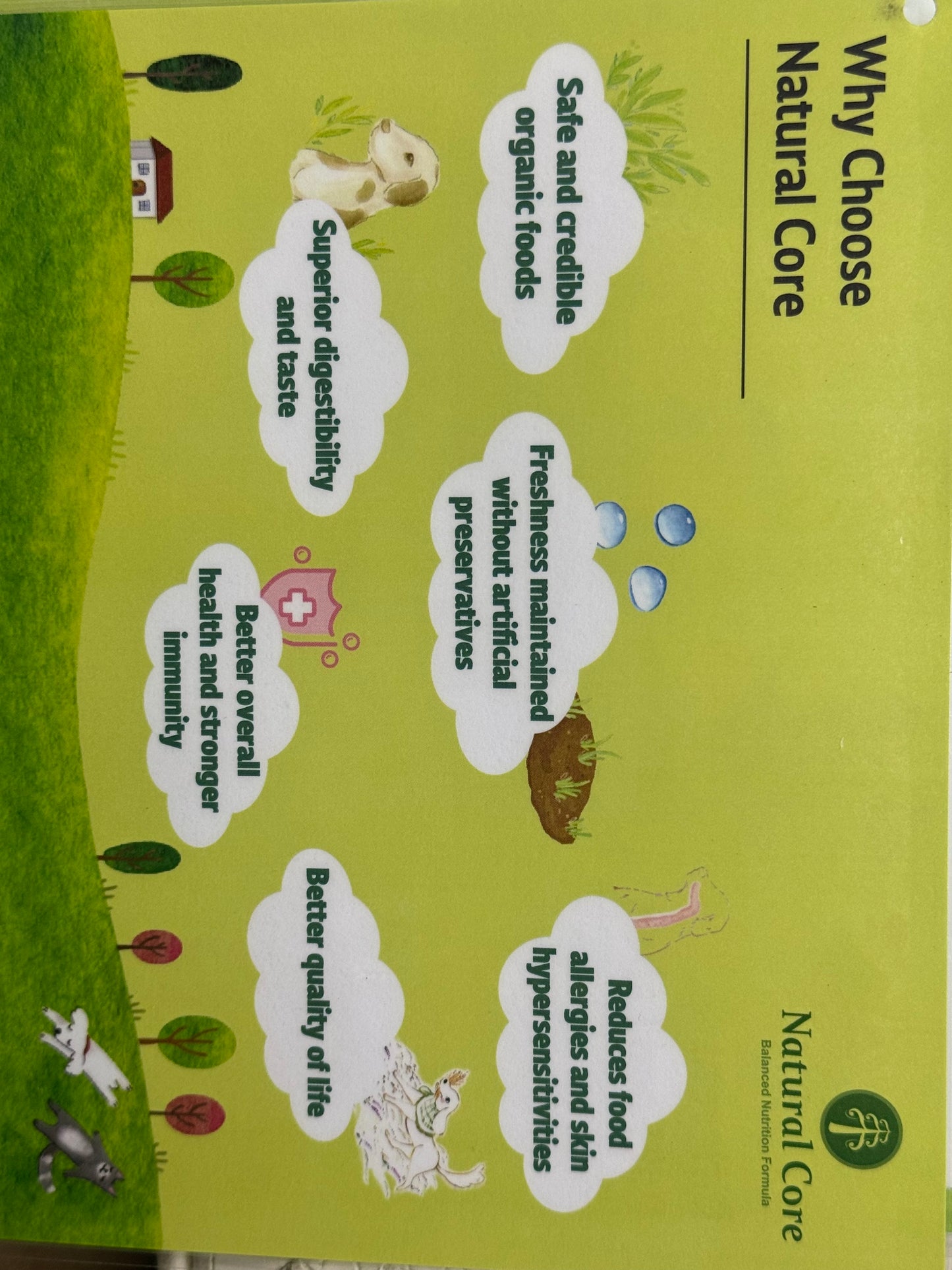 Natural Core organic dog food kept in aircon shop, individually packed, proven feed lowest price