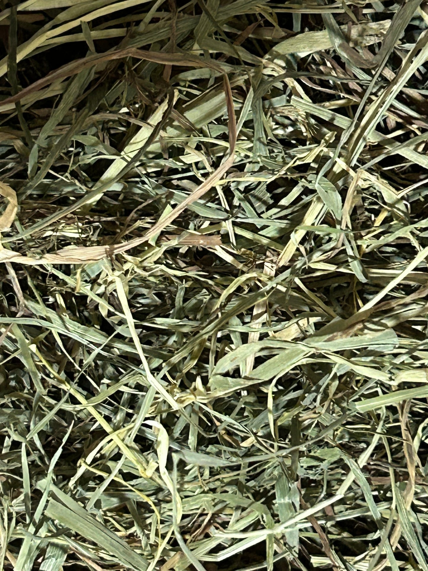 American Pet Diner APD Gold Timothy Hay soft 10/2026 highly palatable/ popular batch (taste test or sample avail) please return good hay bits ๐