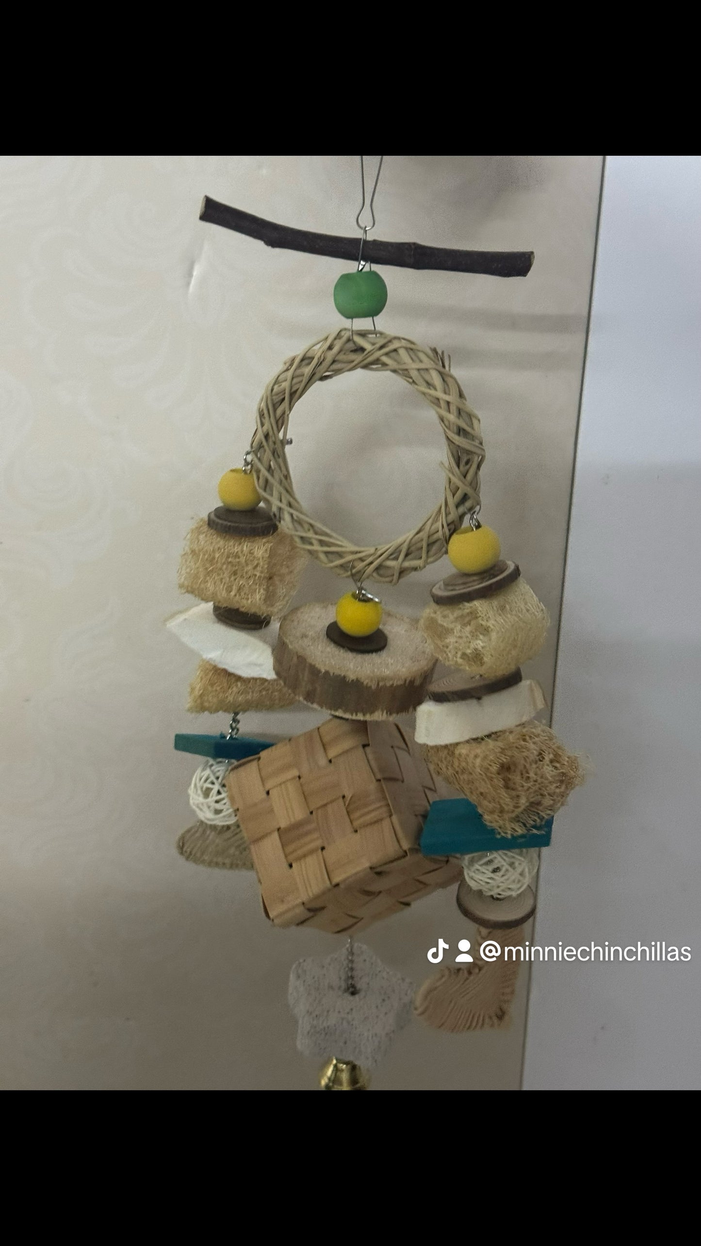 Creative Chew Toys created by Minnie’s staff (thanks for your encouragement) 😊