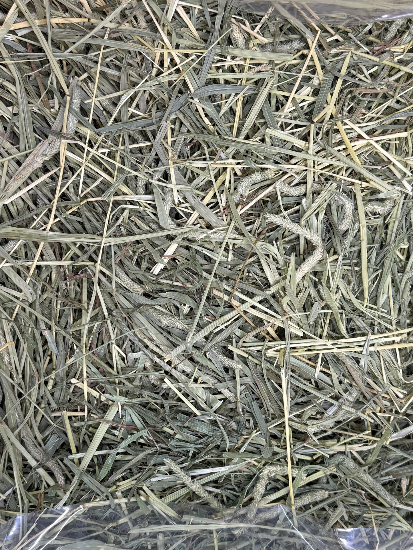 Freshay 1st Cut Timothy Hay from USA