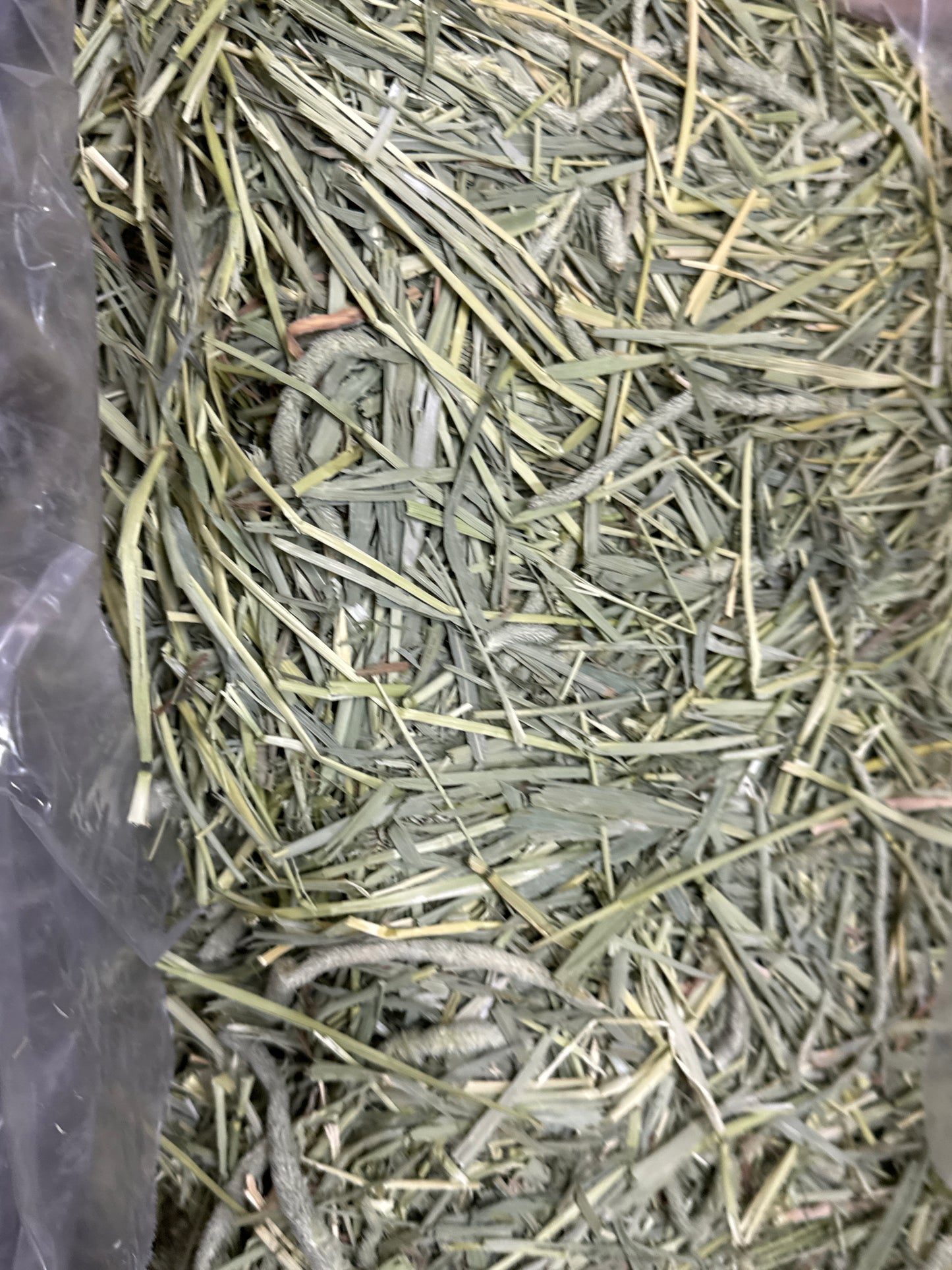 1 kg USA Western Timothy crunchy hay kept in aircon shop since shipment arrived from USA Expiry Feb 2027 limited stock