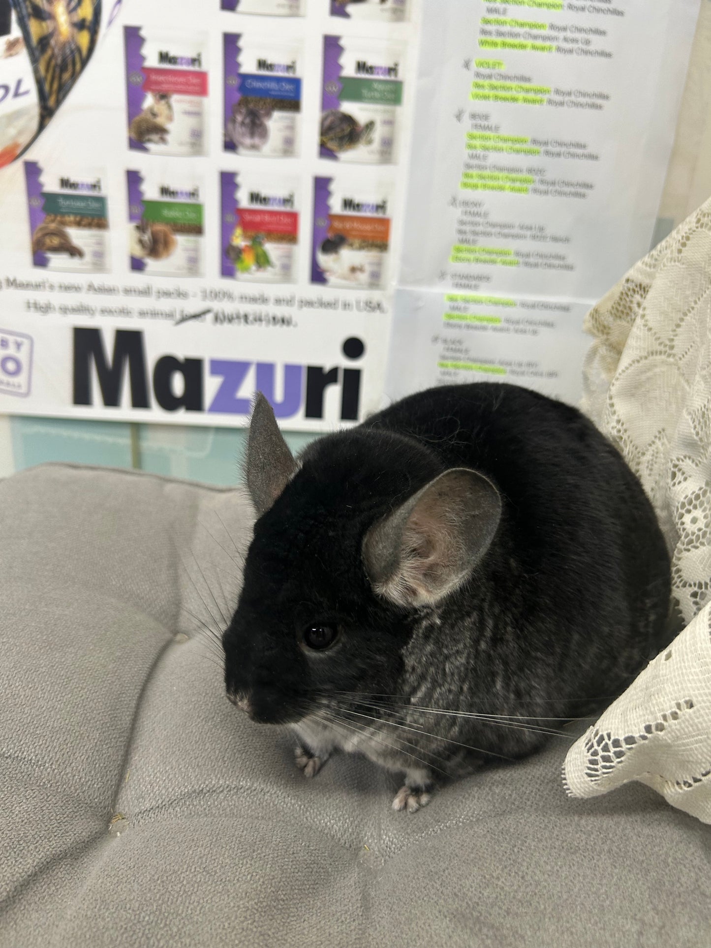 Mazuri 5M01 Chinchilla Pellets Expiry April 2026