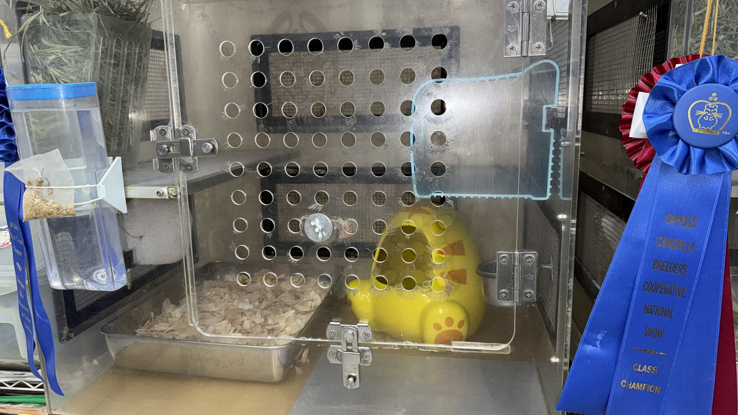 Small Premium 2 tiered acrylic cage 24x 18x 22 inches with 1 tiled platform highest quality cage without accessories