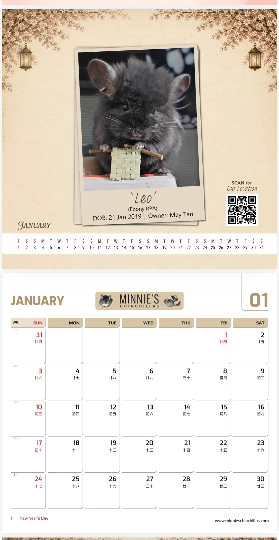 Minnie’s Chinchillas 2027 Calendar (pre order) before 1 September 2026