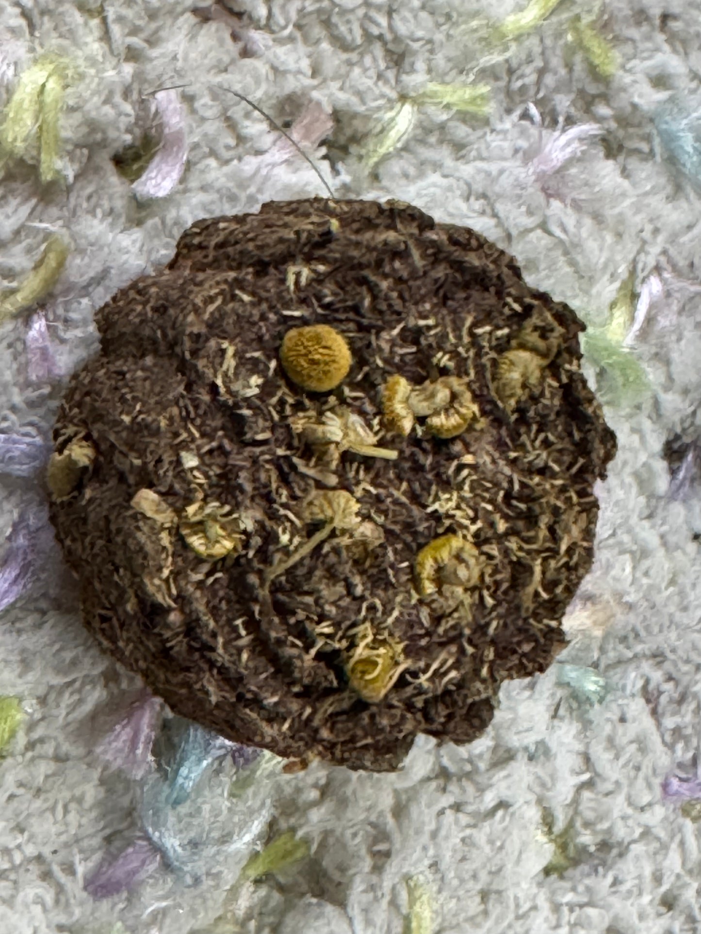 Minnie’s Timothy Hay Cakes/ cookies with herbs “Atas hay cookies”