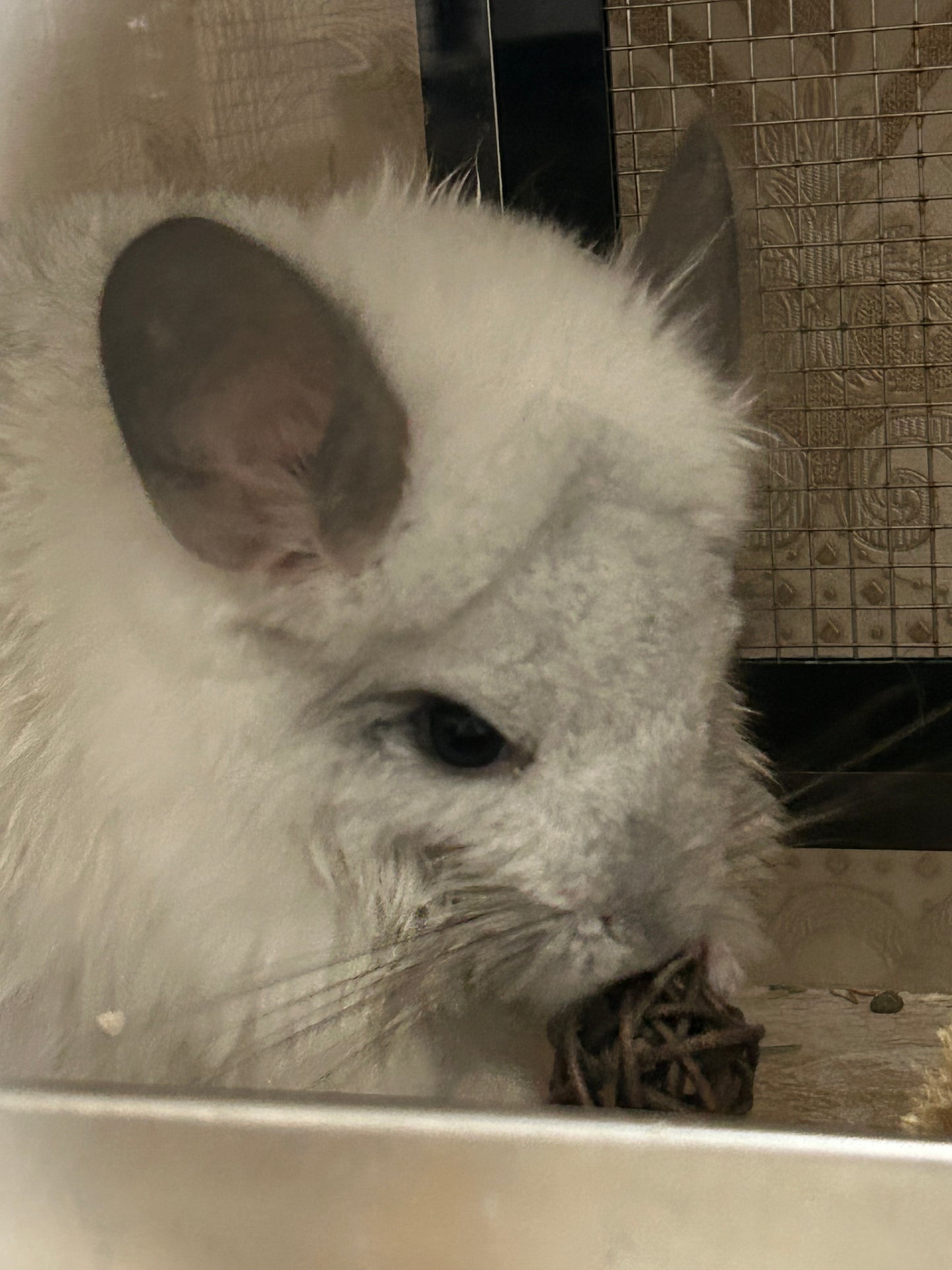 Natural willow balls / vine balls (avail in 3 sizes)