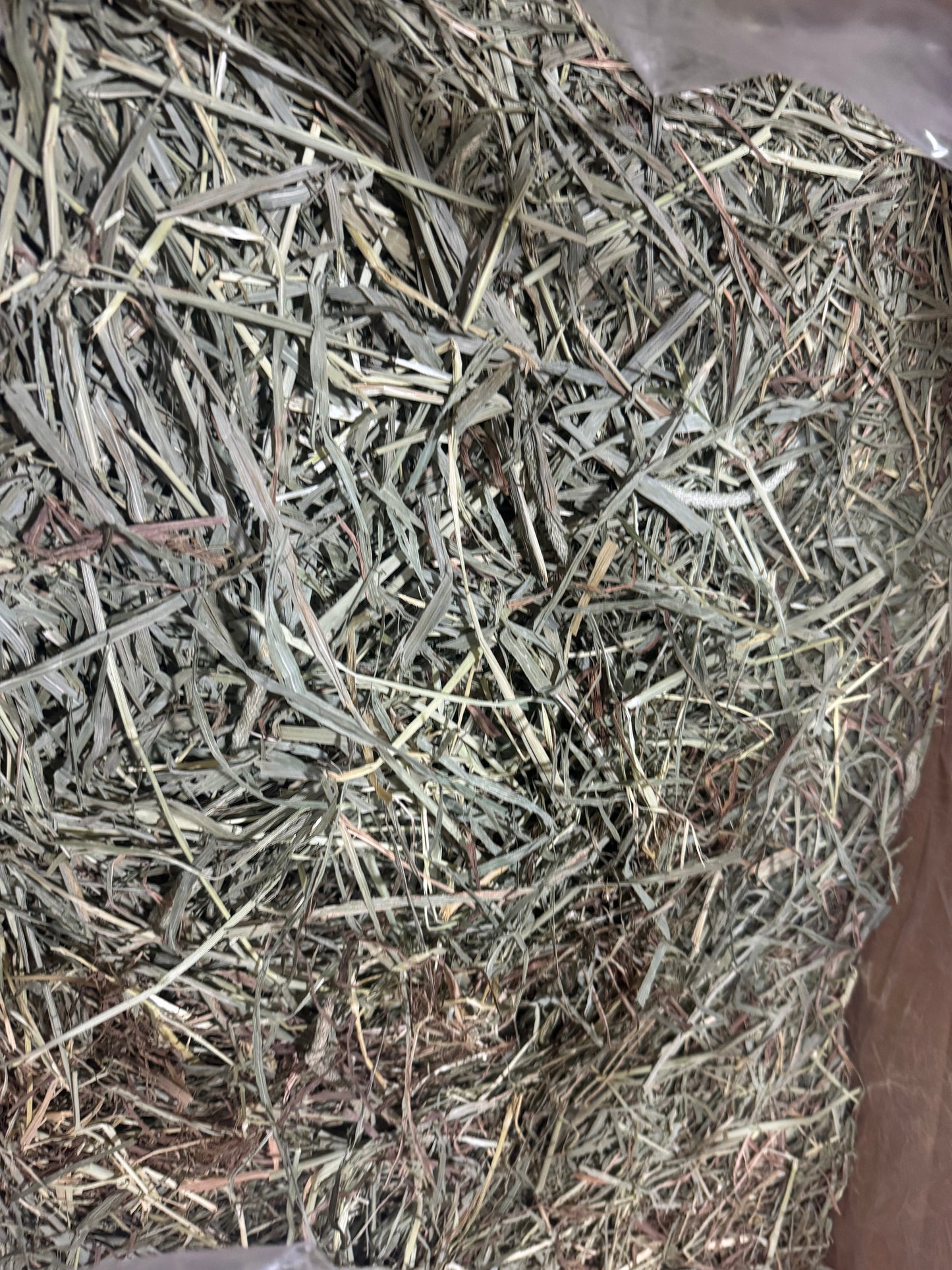 American Pet Diner APD Gold Timothy Hay soft 10/2026 highly palatable/ popular batch (taste test or sample avail) please return good hay bits ๐