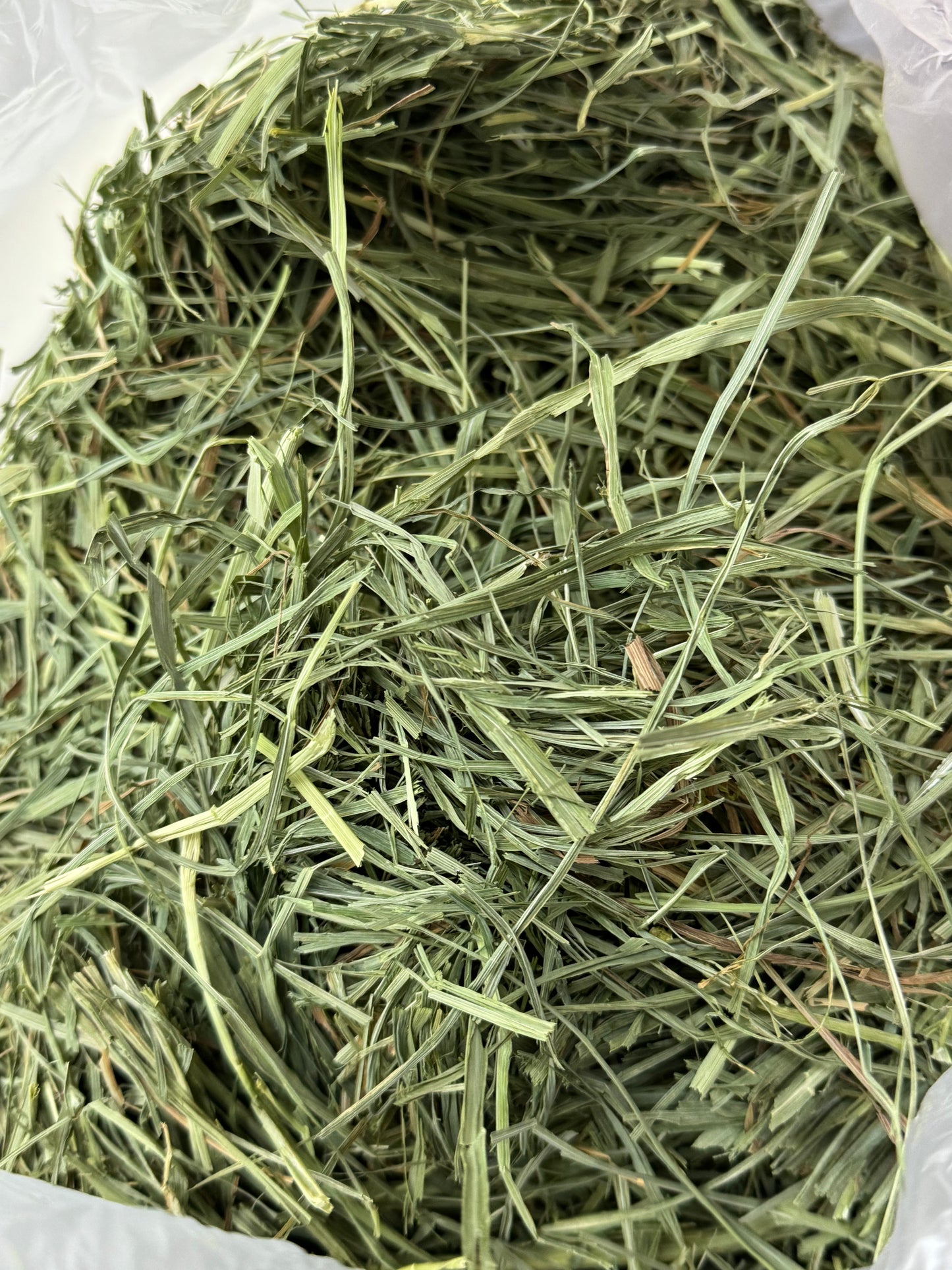 American Pet Diner APD Gold Timothy Hay soft 10/2026 highly palatable/ popular batch (taste test or sample avail) please return good hay bits ๐