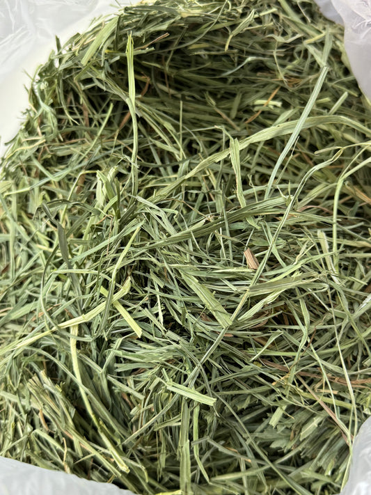 American Pet Diner APD Gold Timothy Hay soft 10/2026 highly palatable/ popular batch (taste test or sample avail) please return good hay bits 🙏