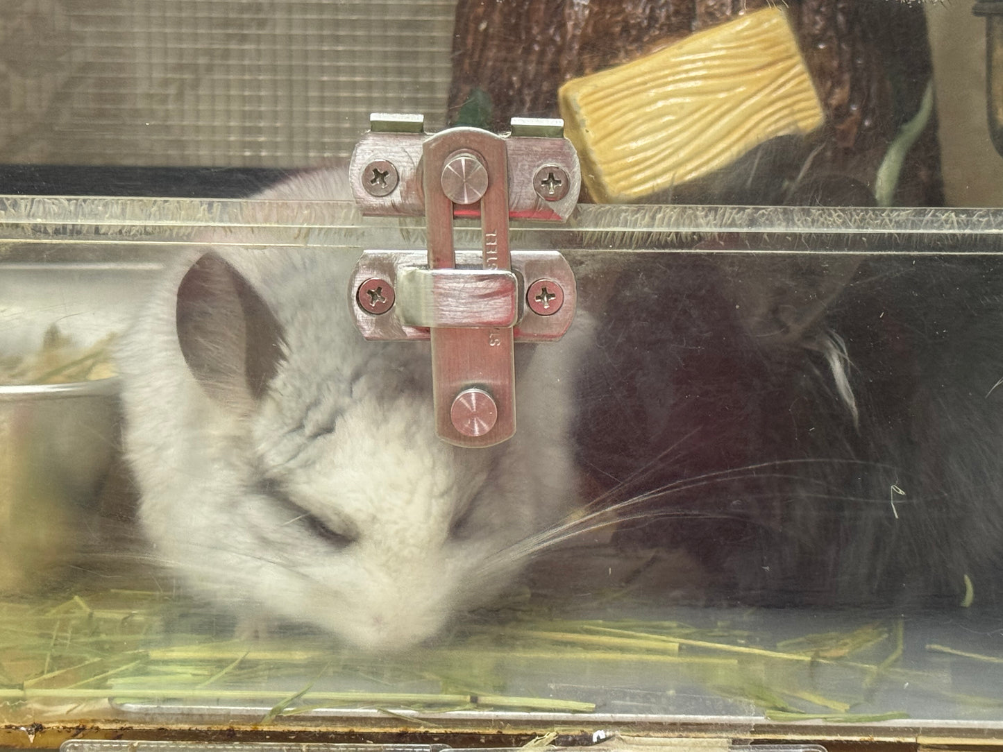 Wooly hay products new shipment from Japan (details as described) kept in aircon shop to ensure freshness.