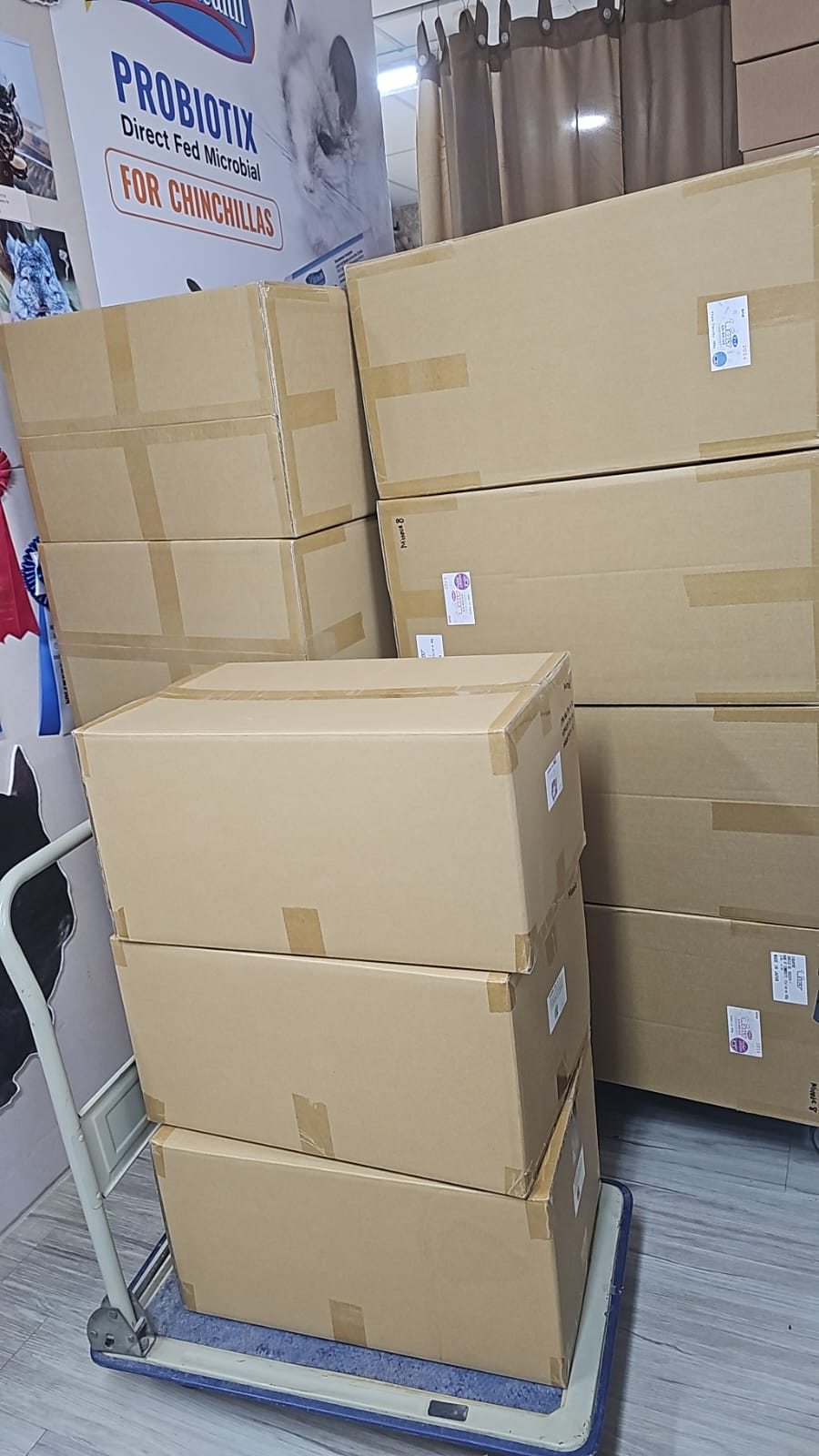 Wooly hay products new shipment from Japan (details as described) kept in aircon shop to ensure freshness.