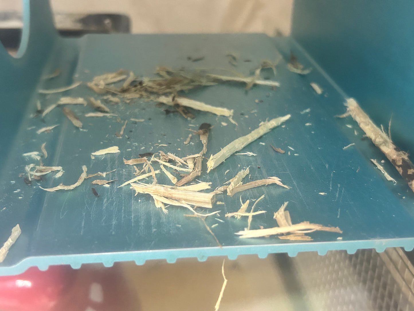 Minnie's Famous Natural Apple Sticks sticks washed, boiled and baked (thinner generally)