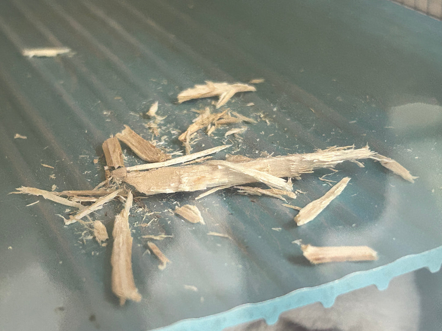 Minnie's Famous Natural Apple Sticks sticks washed, boiled and baked (thinner generally)