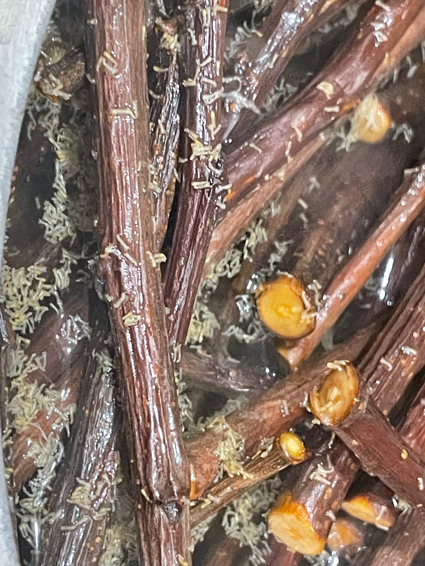 Minnie's Famous Natural Apple Sticks sticks washed, boiled and baked (thinner generally)