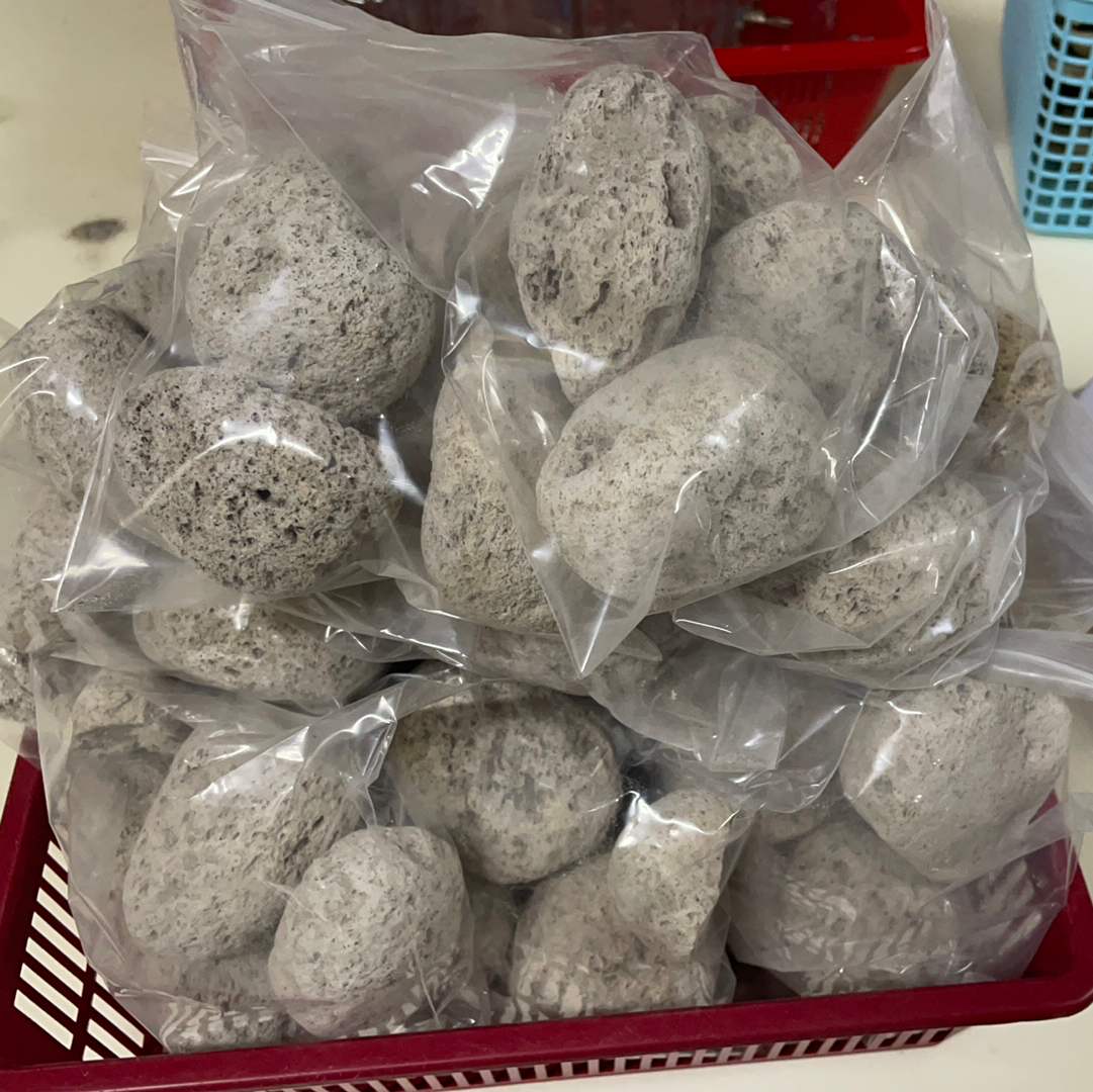 Natural pumice gnaw stones USA with drilled holes