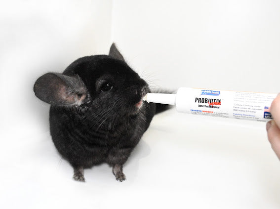 30 ml Probiotics (Probiotix Improved) Expiry March 2027