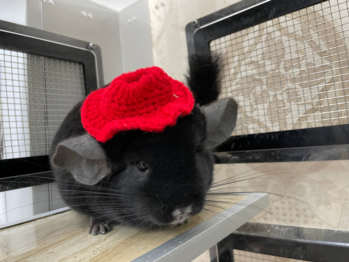 Funky hats/ Headgear/ hat/ cap for Chinchillas, Guinea pigs, rabbits or hamsters limited stock