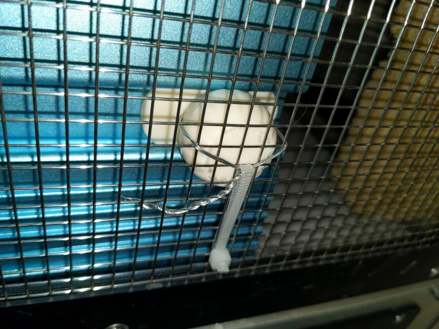 Large Jolly Cool House 23 x 16.2x 15.6 cm lbh JP154