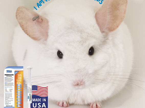 Probiotics (Probiotix Plus) 30g Expiry Feb 2026/ Sept 2026