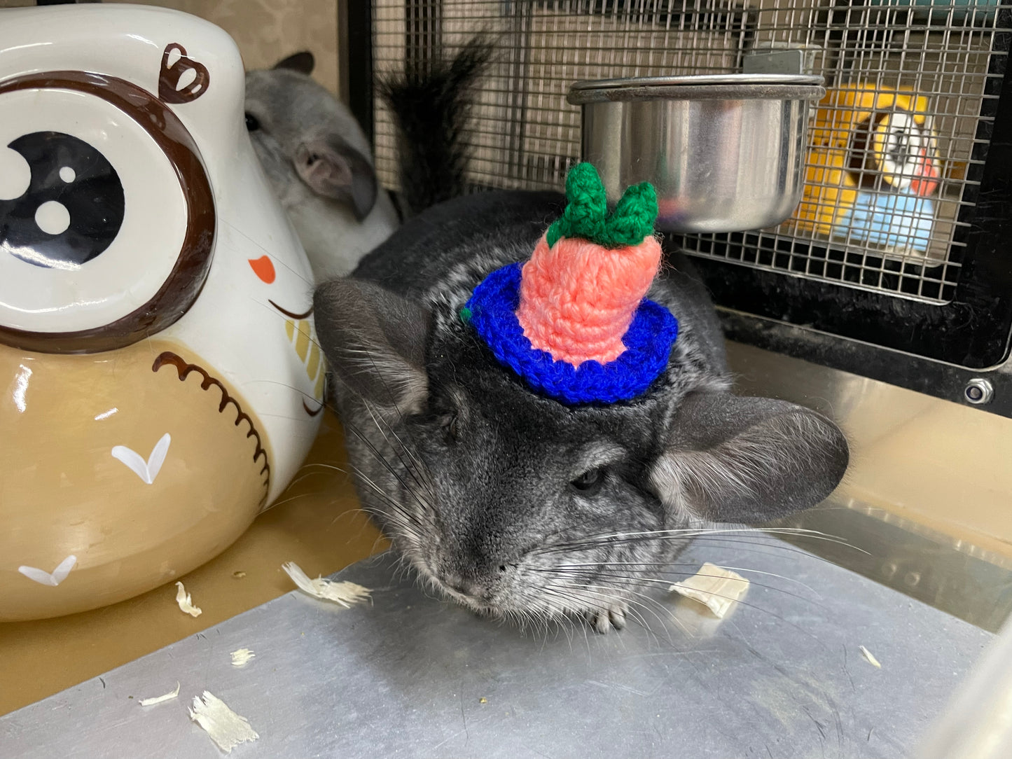 Funky hats/ Headgear/ hat/ cap for Chinchillas, Guinea pigs, rabbits or hamsters limited stock