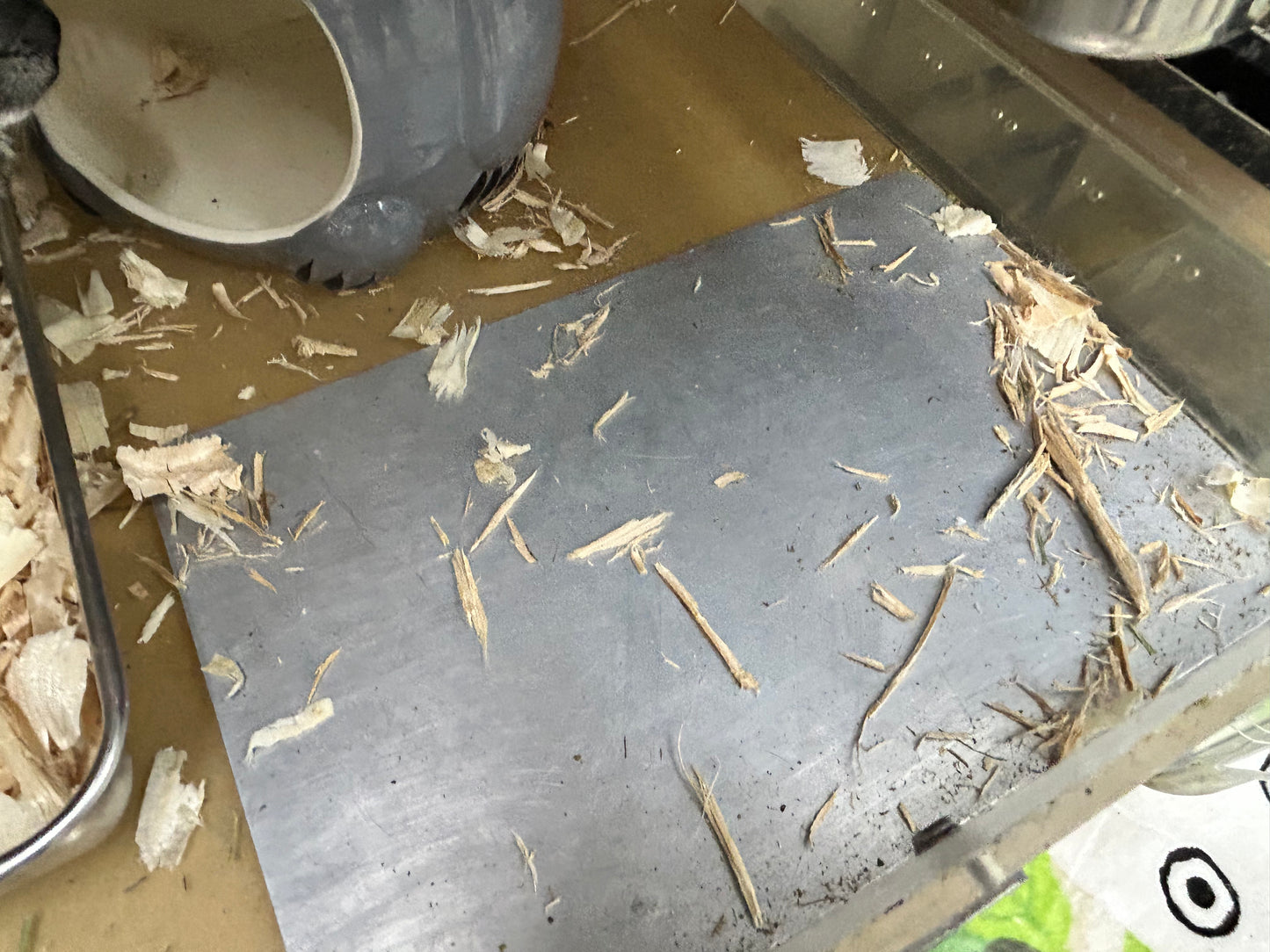 Minnie's Famous Natural Apple Sticks sticks washed, boiled and baked (thinner generally)