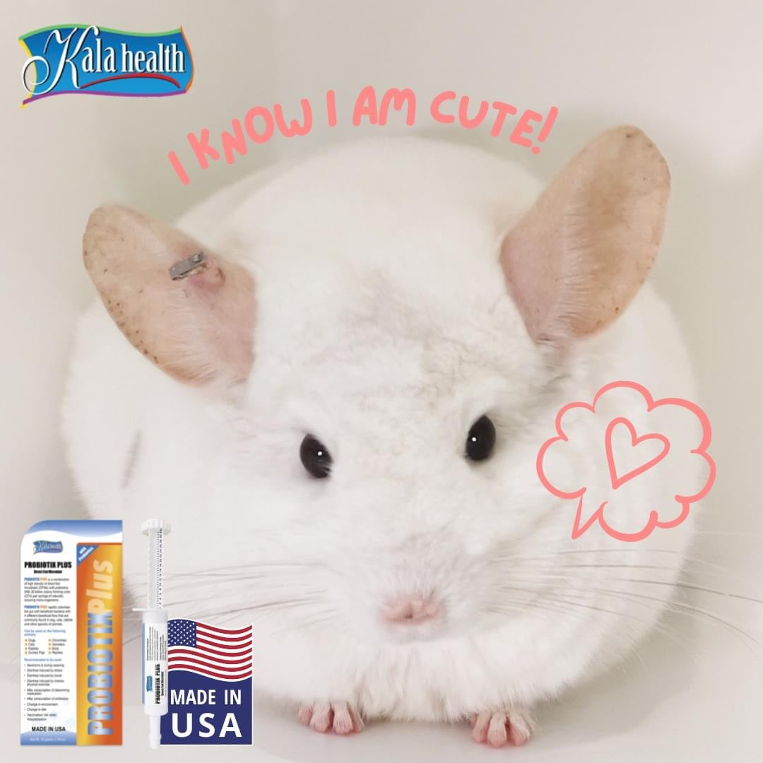 Probiotics (Probiotix Plus) 30g Expiry Feb 2026/ Sept 2026