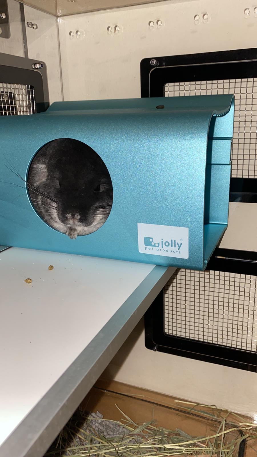 Large Jolly Cool House 23 x 16.2x 15.6 cm lbh JP154