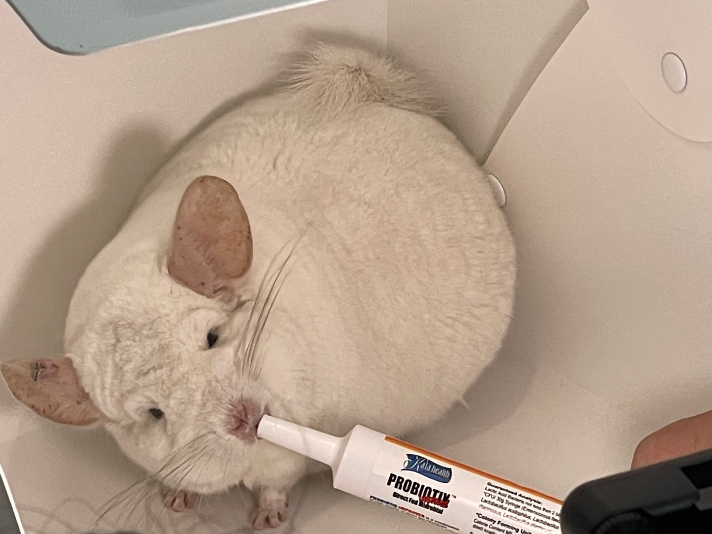 30 ml Probiotics (Probiotix Improved) Expiry March 2027