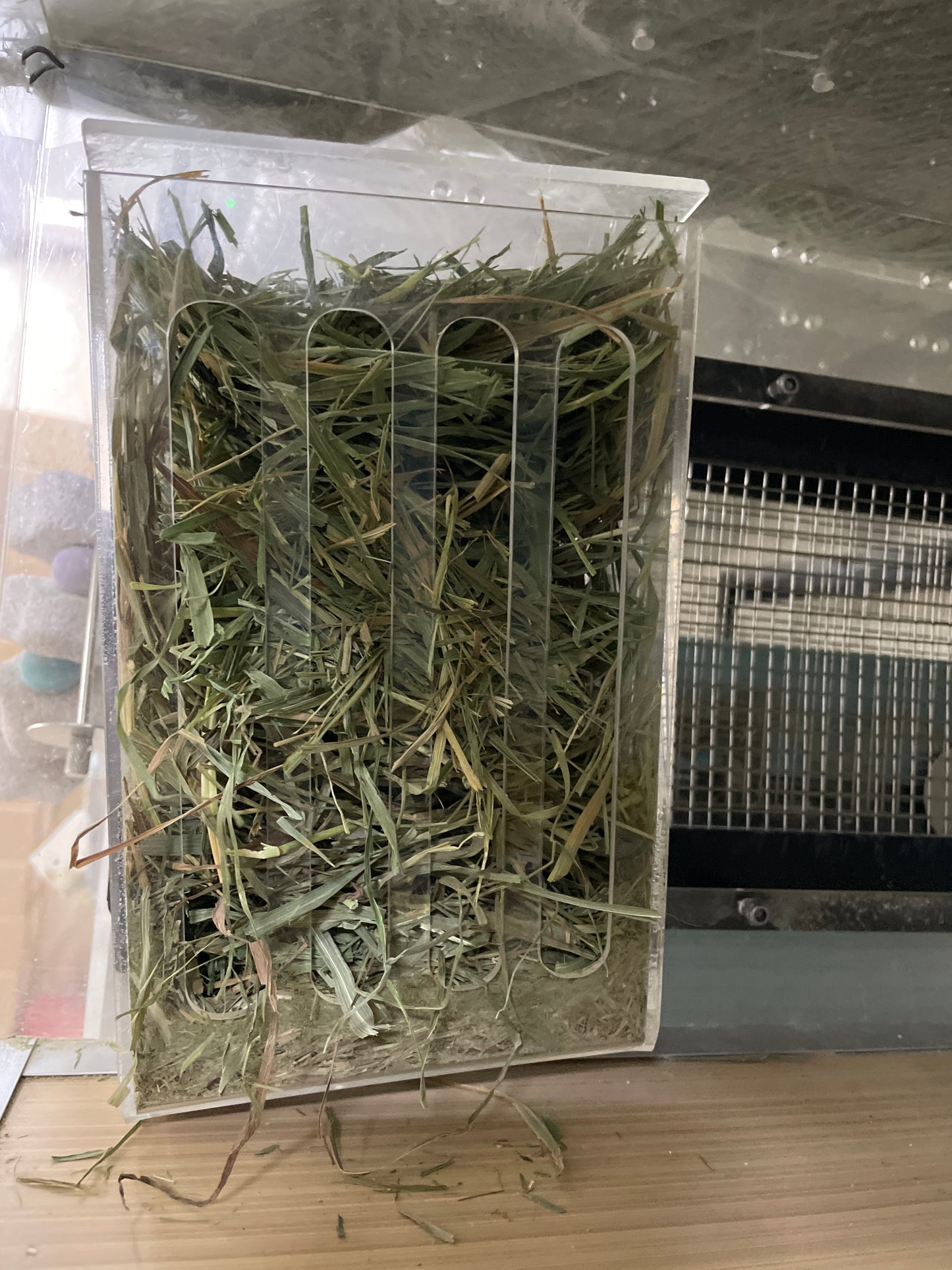 Acrylic hay holder / hay box/ holders hay rack 2 options —- sleek and fits any cage