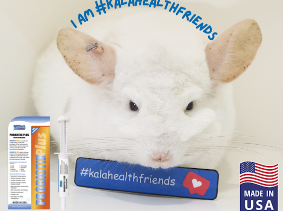 Probiotics (Probiotix Plus) 30g Expiry Feb 2026/ Sept 2026