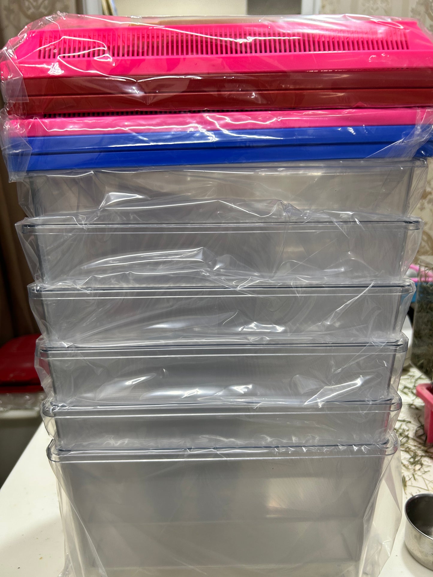 Plastic acrylic tank with cover, door opening and handles for baby small animals / as carrier 30 x 19 x 18 cm