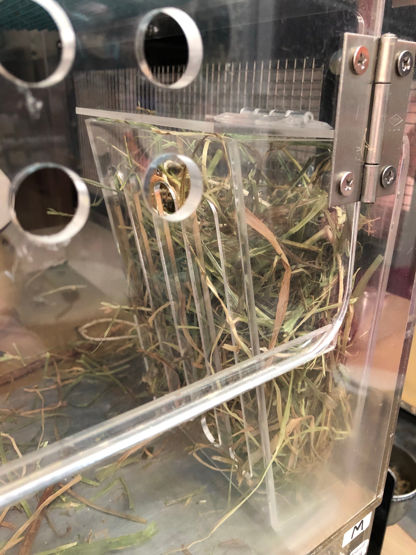 Acrylic hay holder / hay box/ holders hay rack 2 options —- sleek and fits any cage