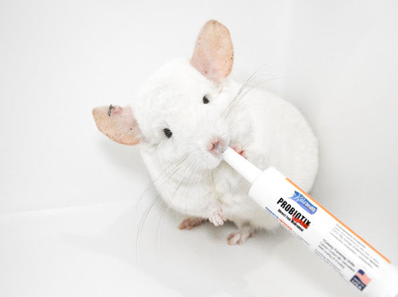 30 ml Probiotics (Probiotix Improved) Expiry March 2027