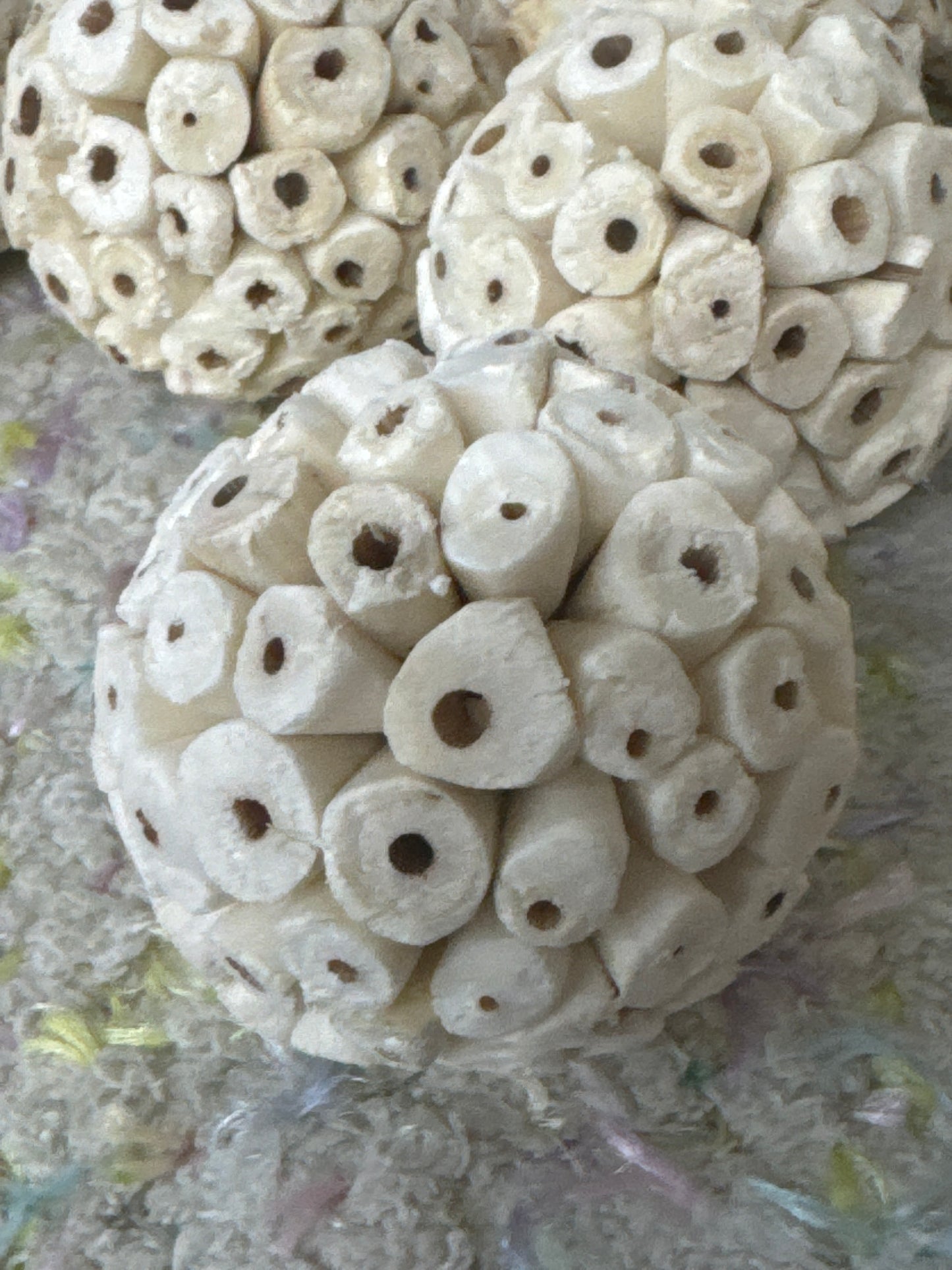 Sola ball biodegradable chew toy safe for chinchillas 6 cm diameter