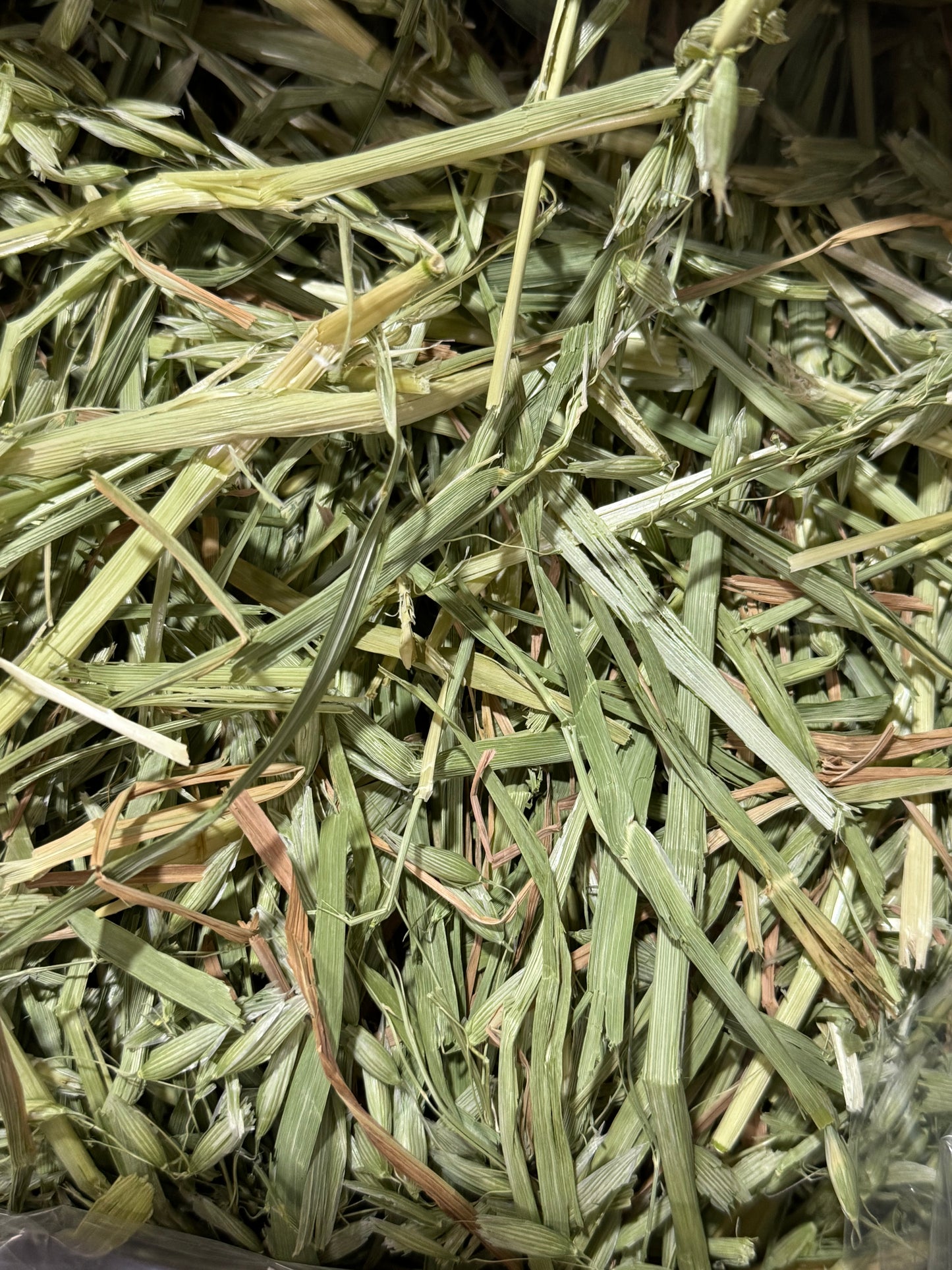 USA Oat Hay 100g
