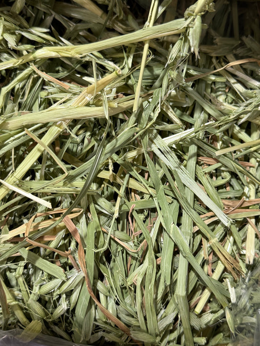 USA Oat Hay 100g