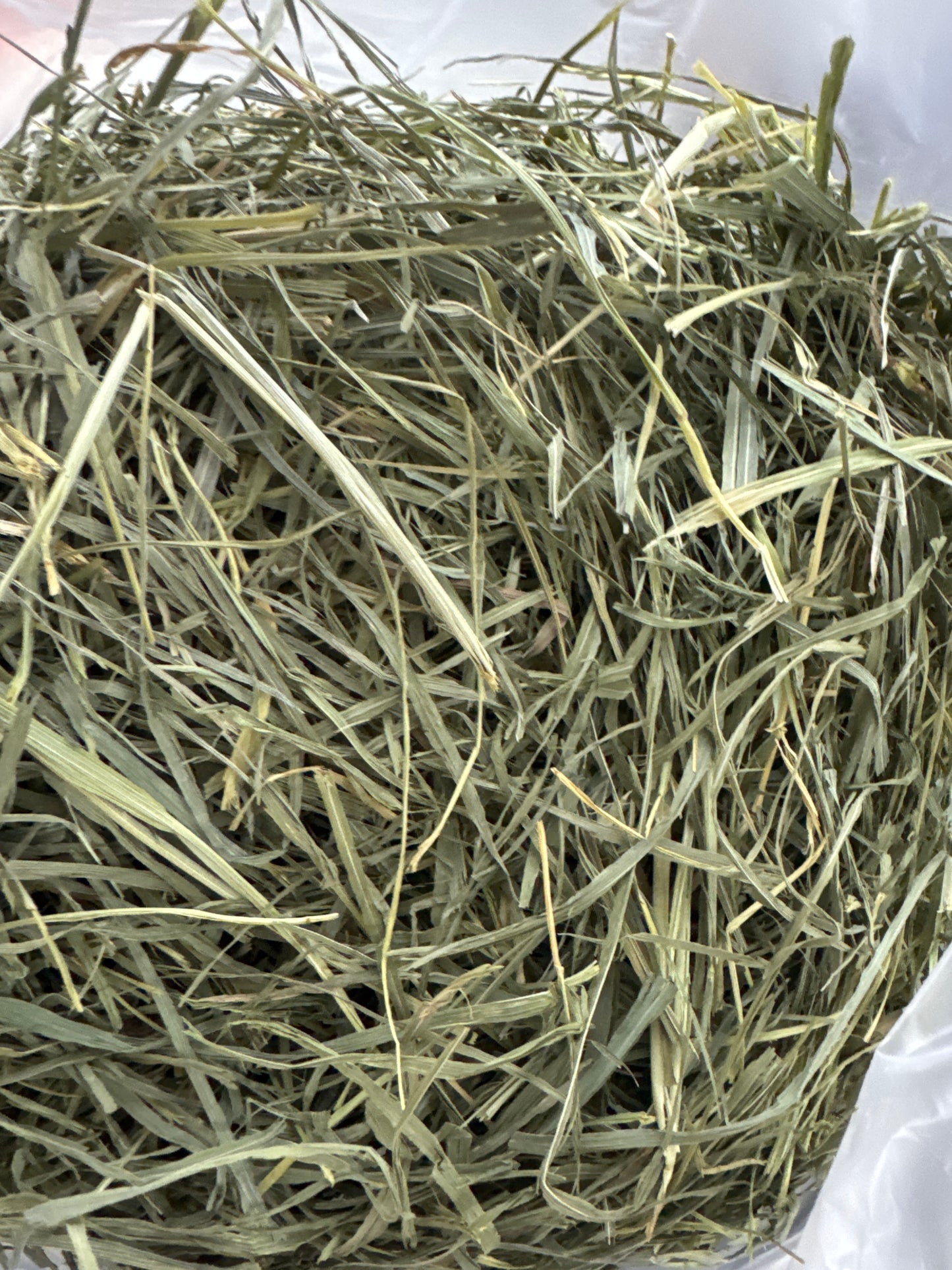 USA third cut Timothy soft hay 1 kg popular