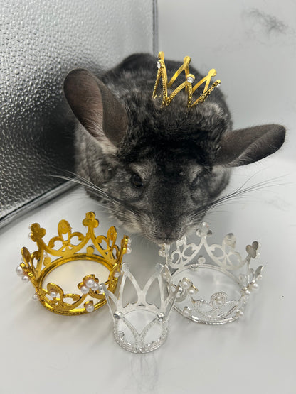 Crown / tiara 3 cm or 5 cm diameter for playtime and photography with small animals like chinchillas, rabbits and guinea pigs