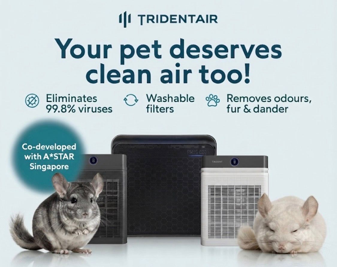 Airdome40 Trident Air Purifier brand new in box