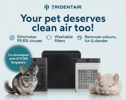 Airdome40 Trident Air Purifier brand new in box