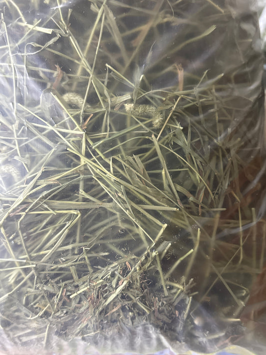 SPS Small Pet Select Second Cut Timothy Hay 5 lbs (2.26 kg) and 10 lbs (4.5kg) Hay