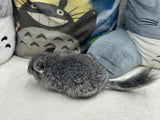 Chinchillas: R021 Standard RPA female chinchilla for sale from big sized angora parents